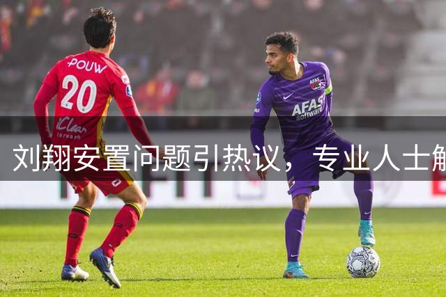 刘翔安置问题引热议，专业人士解析体制内外的得失