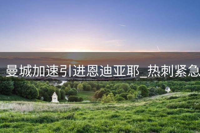 曼城加速引进恩迪亚耶 热刺紧急调整转会目标